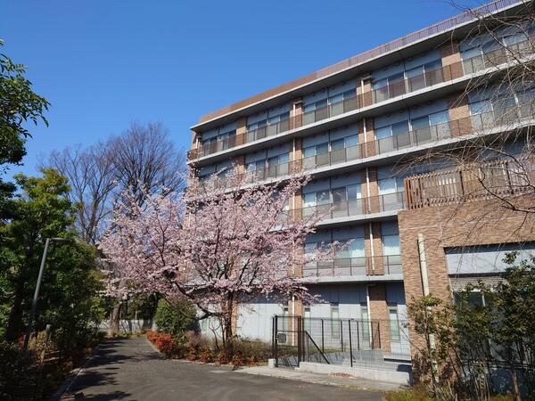 浴風会病院（常勤）の作業療法士求人メイン写真4