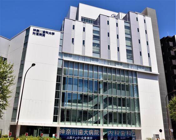 神奈川歯科大学附属病院（常勤）の一般事務求人の写真