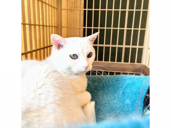 住宅型有料老人ホーム ケアホームみのわ（常勤）の介護職求人メイン写真3