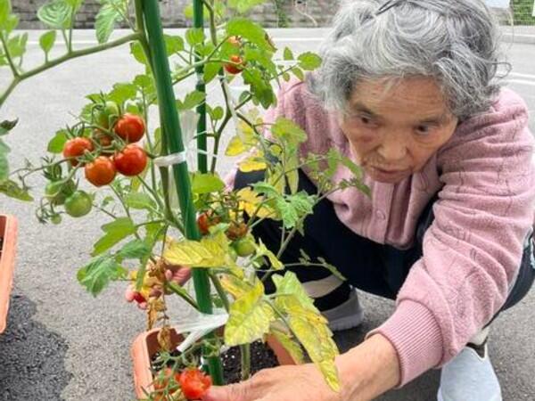 看護小規模多機能型居宅介護 みたに（パート）の看護師求人メイン写真2