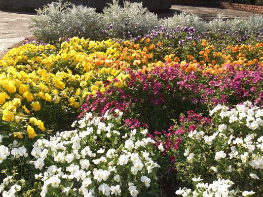 介護老人保健施設　八州苑（パート）の理学療法士求人メイン写真4