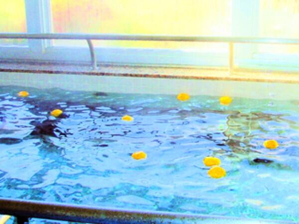 特別養護老人ホーム ライフピア青柳（常勤）の介護福祉士求人メイン写真2