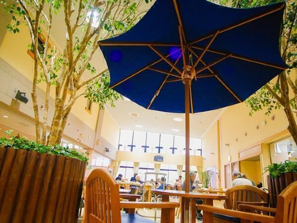 介護老人保健施設 グレースヒル・湘南（支援相談員/常勤）の社会福祉士求人メイン写真2