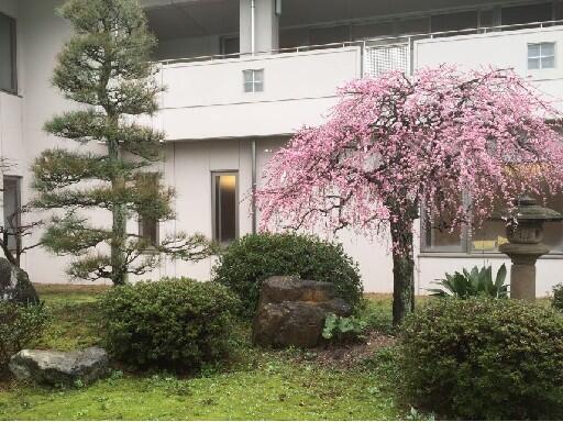 特別養護老人ホーム梅里苑（常勤）の管理栄養士求人メイン写真2