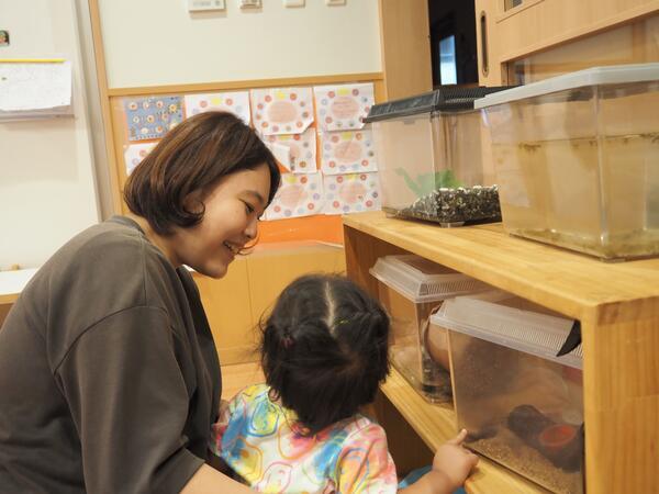 トレジャーキッズてんのうでん保育園（常勤）の保育士求人メイン写真2