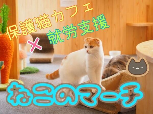 【2025年11月オープン予定】就労支援 ねこのマーチ（サービス管理責任者/常勤） の支援員求人の写真