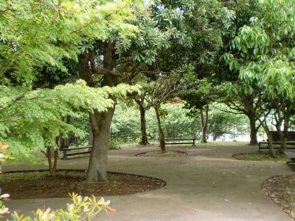 介護老人保健施設 グレースヒル・湘南（支援相談員/常勤）の社会福祉士求人メイン写真5