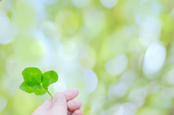 ロイヤルレジデンス新座(所長候補/常勤)の看護師求人の写真