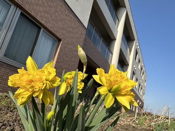 特別養護老人ホーム芽室けいせい苑（常勤） の管理栄養士求人メイン写真2