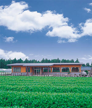 複合老人施設しあわせ（正社員）の介護職求人メイン写真2