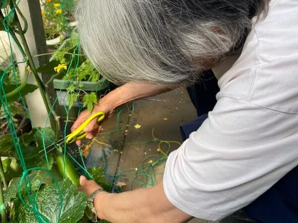 デイサービス わたしんち花小金井（常勤）の介護福祉士求人メイン写真5