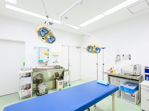 やえせ整形外科 （常勤）の理学療法士求人メイン写真5