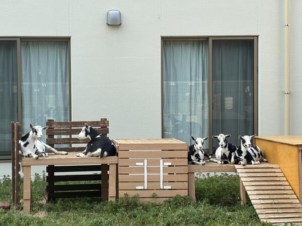 北所沢病院（常勤）の社会福祉士求人の写真