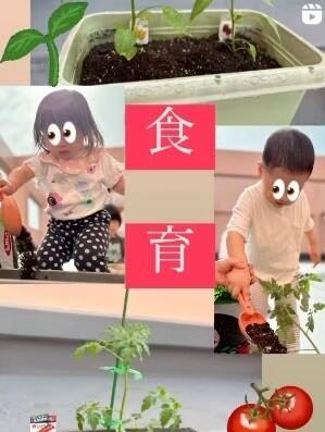 企業主導型保育いんくるーじょん保育園　久宝寺保育園の看護師求人サブ写真2