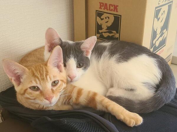 グループホーム いろは（夜勤常勤）の支援員求人サブ写真3