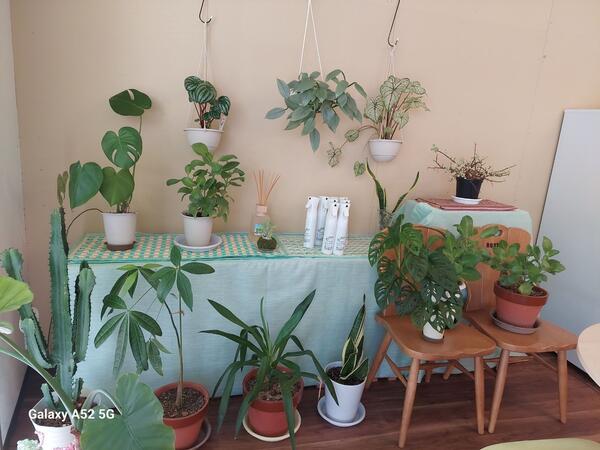 就労継続支援B型 PUANA（サビ管/常勤） の介護福祉士求人メイン写真3