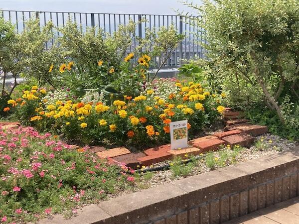 堺平成病院（常勤）の臨床検査技師求人メイン写真2