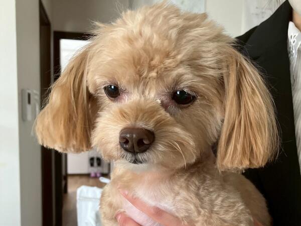 グループホーム いろは（夜勤常勤）の支援員求人サブ写真2