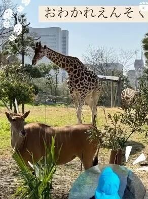 企業主導型保育 いんくるーじょん保育園 久宝寺保育園 の保育士求人サブ写真4