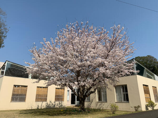 しのだの森ホスピタル（訪問/常勤）の看護師求人メイン写真2