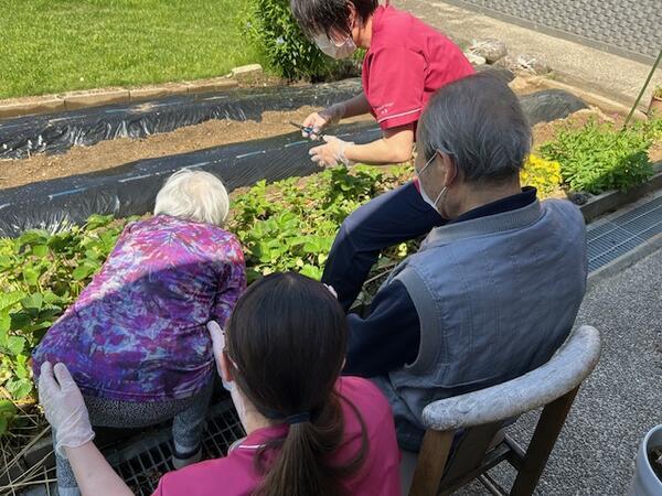 介護老人保健施設アルテンハイム会地の郷（パート）  の看護師求人メイン写真3