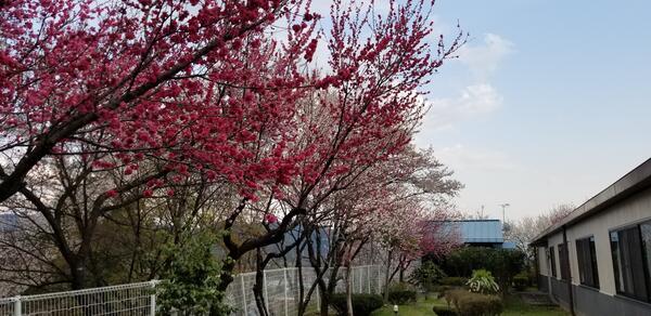 介護老人保健施設アルテンハイム会地の郷（常勤）の介護福祉士求人の写真