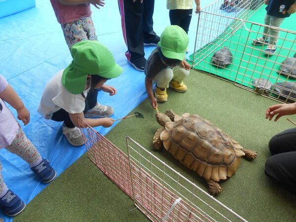 赤羽北のぞみ保育園（正社員）の保育士求人メイン写真4