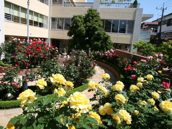 有料老人ホームばらの庄（パート）の看護師求人メイン写真4