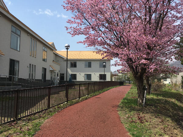 サービス付高齢者向け住宅HACC石山（パート）の看護師求人メイン写真2