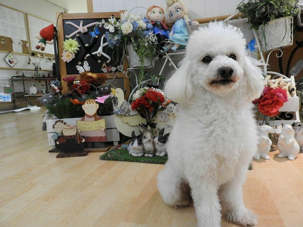 特別養護老人ホーム アグリ・ケアホームいこいの森(パート)の調理師/調理員求人サブ写真1