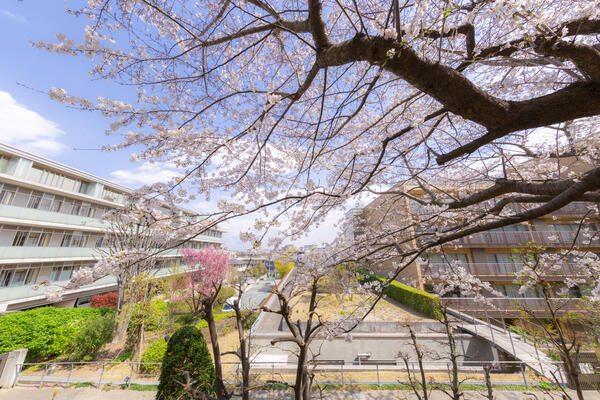 介護付き有料老人ホーム ヒュッテ荏田南（パート）の理学療法士求人の写真