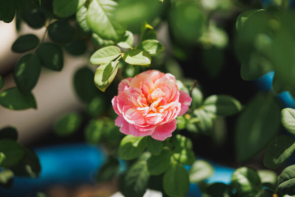 医療法人社団 輪仁会 片倉病院（透析/パート）の看護師求人サブ写真2