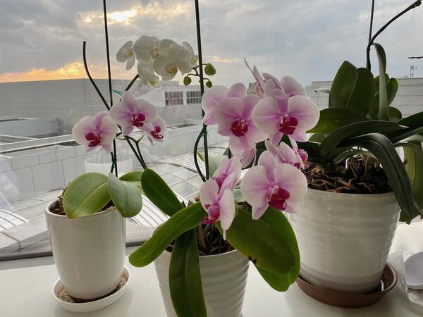 オペラシティクリニック（パート）の医療事務求人メイン写真5