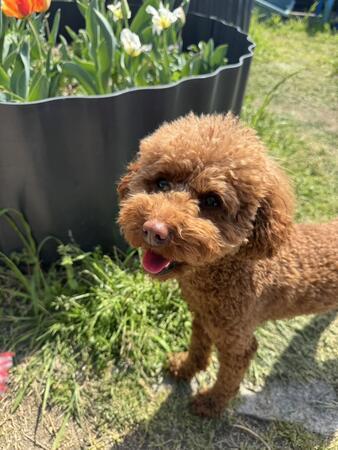 特別養護老人ホーム青都荘（柔道整復師/常勤）の柔道整復師求人メイン写真2