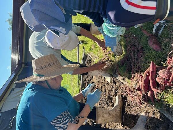 介護老人保健施設アルテンハイム会地の郷（常勤） の看護師求人メイン写真3