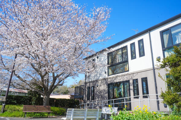 タムスグループホーム花見川（日勤常勤）の介護職求人の写真