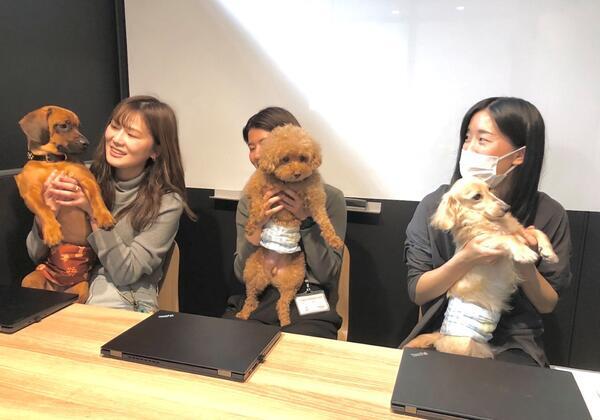 tocotoco相談支援事業所戸塚（常勤／相談支援専門員）のその他求人の写真