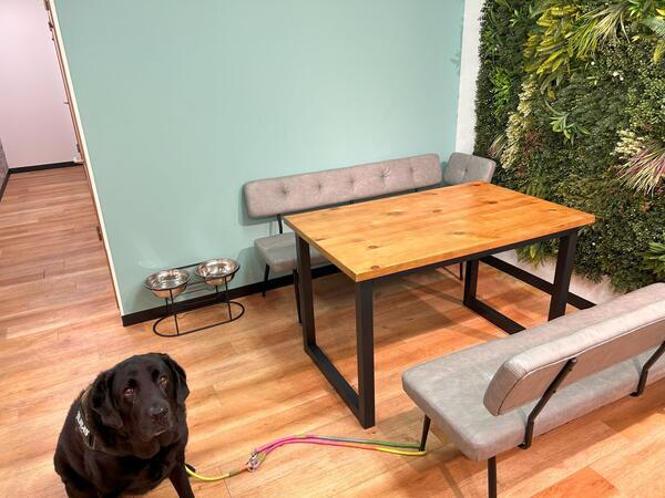 tocotoco相談支援事業所戸塚（常勤／相談支援専門員）のその他求人メイン写真2