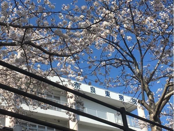 奈良東病院（常勤）の言語聴覚士求人の写真