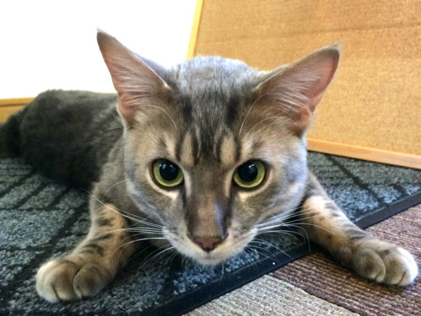 デイサービスセンターあかね雲(パート)の介護職求人サブ写真3