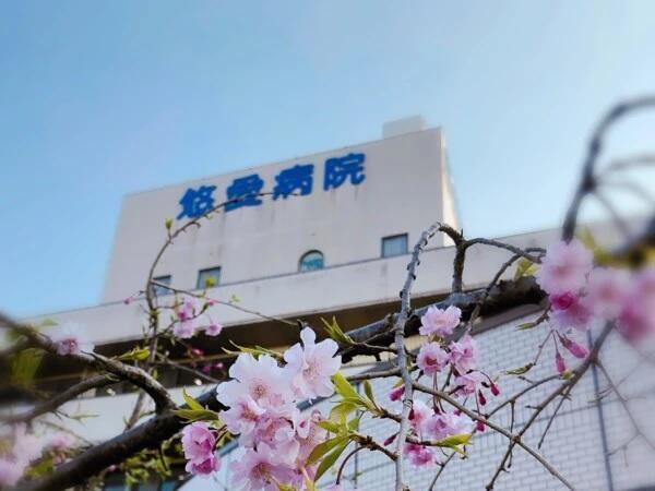 悠愛病院・悠愛病院介護医療院（夜勤専従/常勤）の看護助手求人メイン写真2