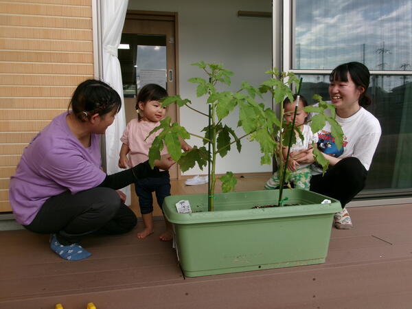 トレジャーキッズながはた保育園（パート）の保育士求人メイン写真2