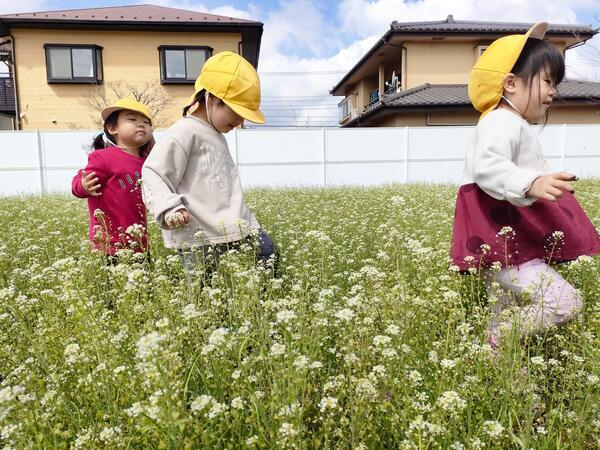 こがねい保育園（パート）の看護師求人メイン写真3