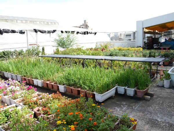 介護老人保健施設　おとしより健康センター（パート）の看護師求人メイン写真3