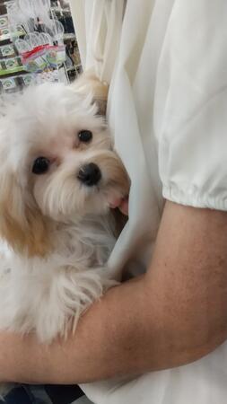 グループホーム 銀河の詩（常勤）の介護福祉士求人の写真