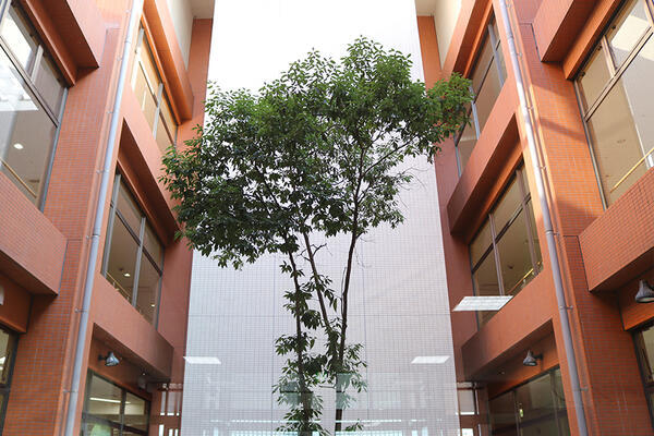 特別養護老人ホーム一宮の里（常勤）のケアマネジャー求人メイン写真2