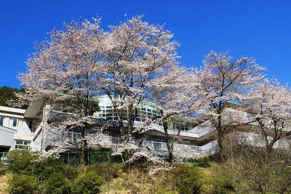 ホームヘルパーステーション梅の郷（サ責/常勤）の介護福祉士求人の写真