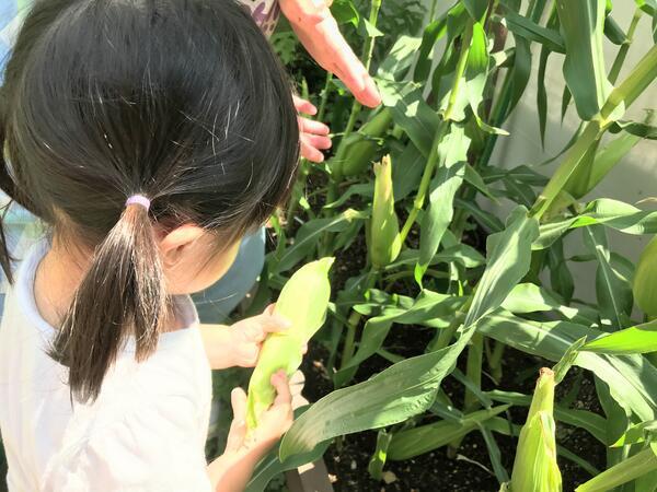 こもれび保育園 大谷口（早番/パート）の保育士求人メイン写真4