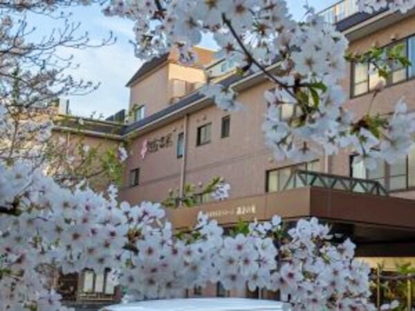 諏訪の苑デイサービス（常勤）の看護師求人メイン写真2