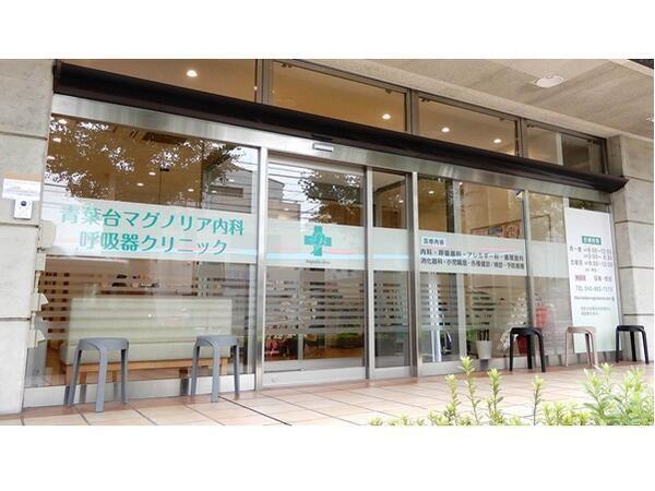 青葉台マグノリア内科・呼吸器クリニック（パート）の看護師求人の写真